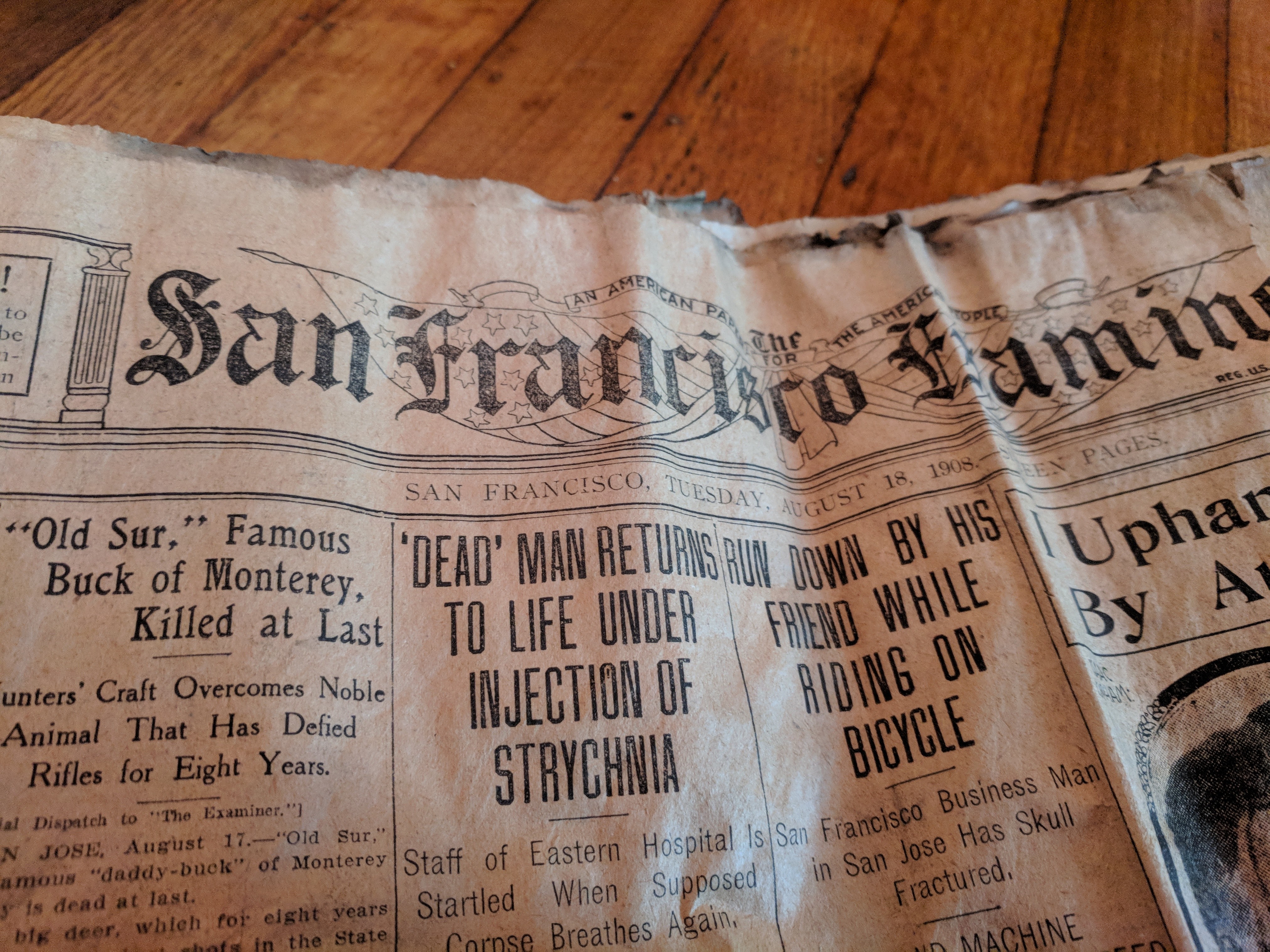 Cole Valley Flat For $15;  Scantily Clad Bathers Arrested; Dead Man Returns To Life – August 18, 1908